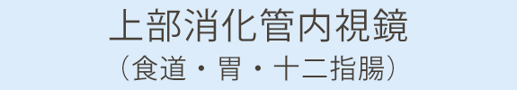 上部消化管内視鏡（食道・胃・十二指腸）