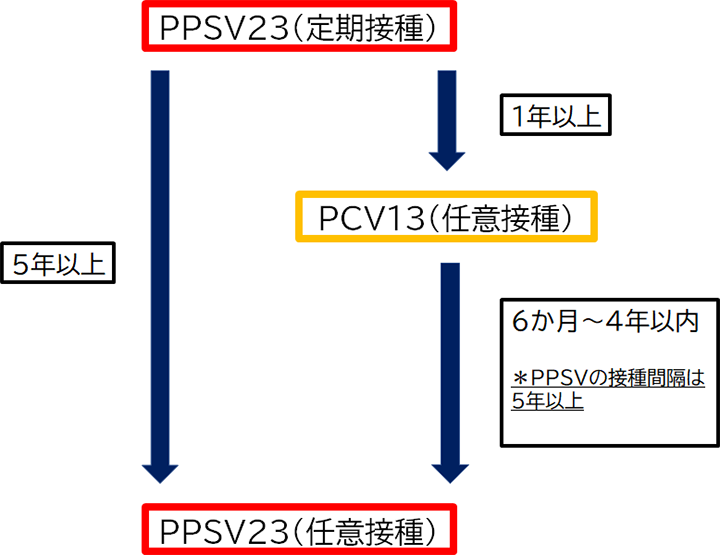 PPSV23とPCV13は、どちらを接種すればいいの？